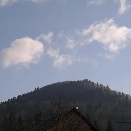 Gorski Cvijet Delnice