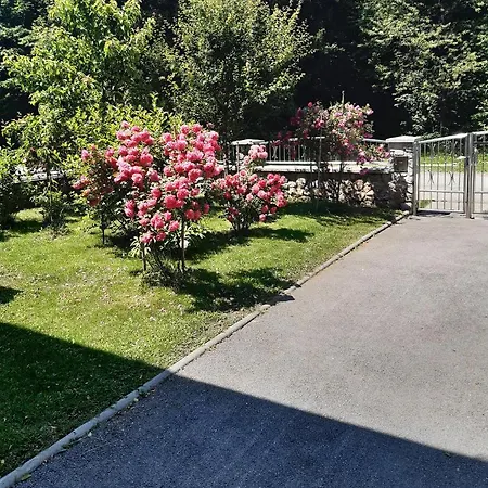 Gorski Cvijet * Delnice